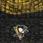 Detail loga na zimnej čiapke Pittsburgh Penguins 47 brand Cascade